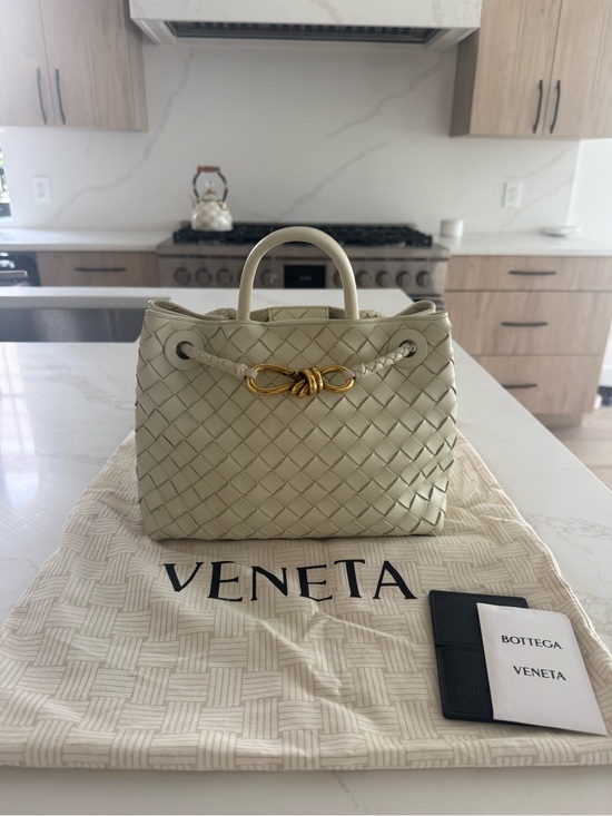 Bottega Veneta Handbags - Bottega Veneta Small Andiamo Bag in color “Sea Salt”